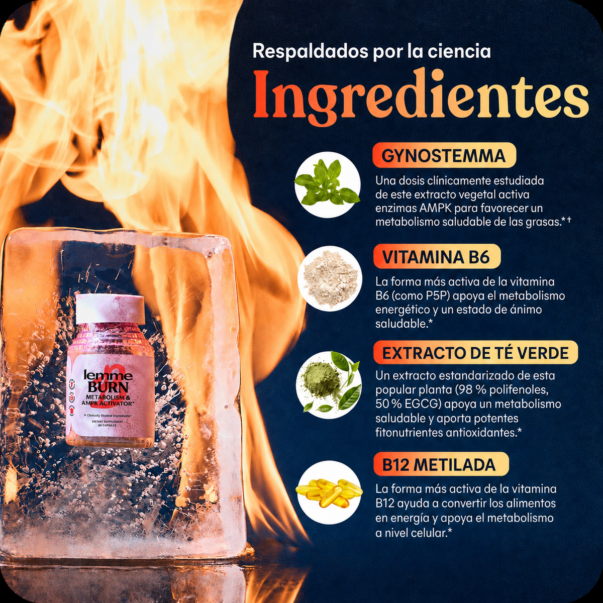 LEMME BURN Cápsulas